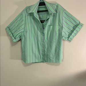 Zara Mint and Lavender Striped Shirt and shorts Top Pieces